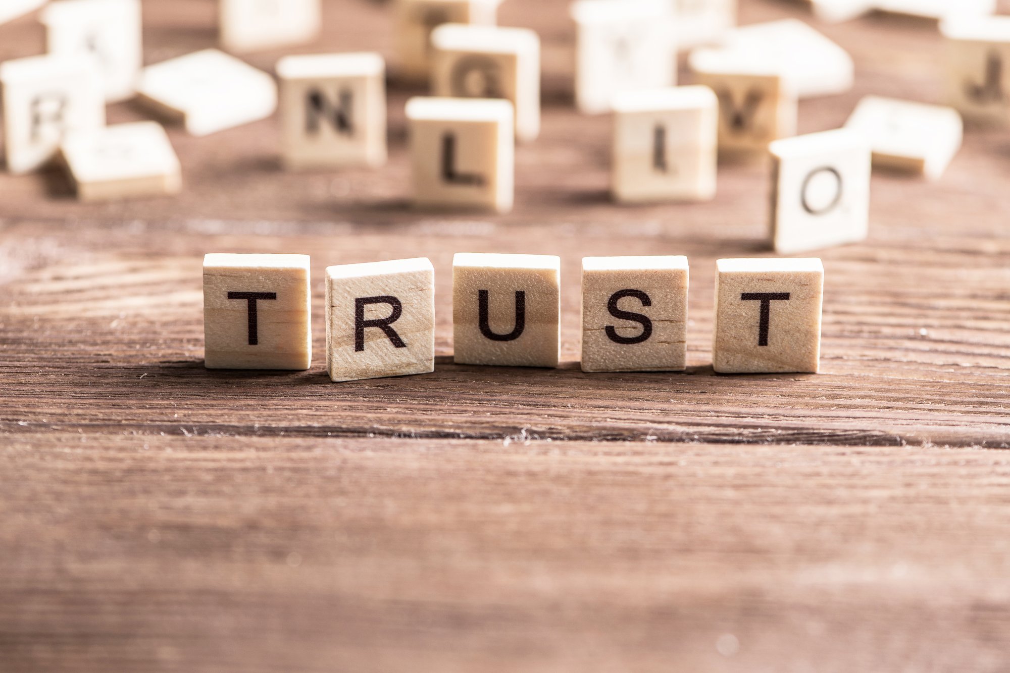 trust-word-of-wooden-elements-2023-11-27-04-49-02-utc
